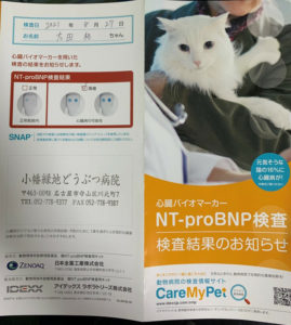 心臓バイオマーカーNT-proBNP検査